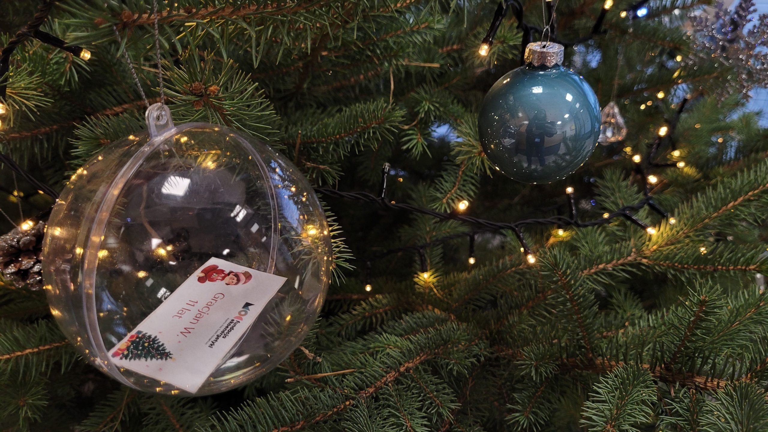 111 bombek na choinkach. W każdej z nich marzenie jednego dziecka – podsumowanie Akcji &bdquo;Bombka Marzeń 2025&rdquo;